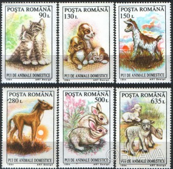 Румыния - детеныши животных
 
1994 г.в.
Mi: 5055 - 5060
MNH XF ** 
Полная серия
. . фото 1