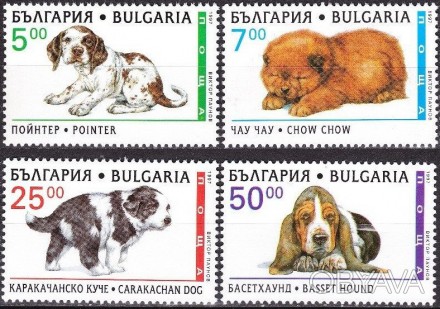 Болгария - щенки
 
1997 г.в.
MI# 4265 - 4268
MNH / XF / **
Полная серия
 
 
 
 
. . фото 1