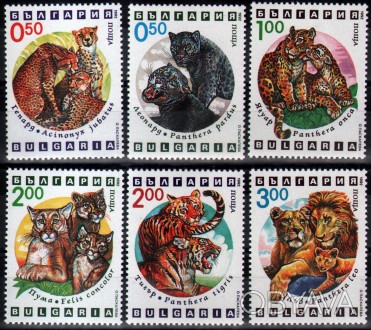 Болгария - кошачьи
 
1992 г.в.
MI# 4020 - 4025
MNH XF 
Полная серия
 
 
 
 
. . фото 1