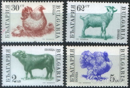 Болгария - домашний скот
 
1991 г.в.
MI# 3923 - 3927
MNH XF 
Полная серия. Выпус. . фото 1