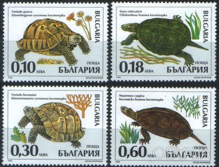 Болгария 1999 черепахи - MNH XF