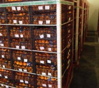 Продам мандарины первого сорта 
Турция 1-2 калибр от 20т-18,75, до 20т-19грн/кг. . фото 3