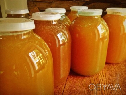 Натуральный мёд из домашней пасеки. Без добавления сахара. Был собран на экологи. . фото 1