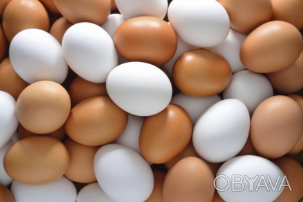 Продаём оптом куриные яйца категории С-1 , С-0 .
"Добра несушка". 
цена за дес. . фото 1