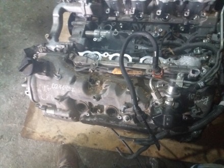Двигатель 1URFSE для Lexus LS460 4.6
Каталожный номер
Применяется на автомобил. . фото 9