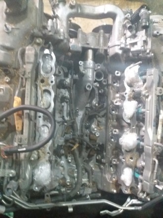 Двигатель 1URFSE для Lexus LS460 4.6
Каталожный номер
Применяется на автомобил. . фото 11