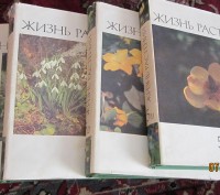 Продаются шесть томов книг "ЖИЗНЬ РАСТЕНИЙ" , по редакцией А.А.Алферова член-кор. . фото 3