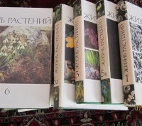 Продаются шесть томов книг "ЖИЗНЬ РАСТЕНИЙ" , по редакцией А.А.Алферова член-кор. . фото 2
