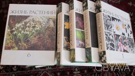 Продаются шесть томов книг "ЖИЗНЬ РАСТЕНИЙ" , по редакцией А.А.Алферова член-кор. . фото 1