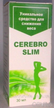 Средство для снижения веса Церебро слим - Cerebro Slim
Полезные свойства и преим. . фото 1