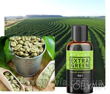 
ЭкстраГрин — жидкий зеленый кофе для похудения
Новое инновационное средство для. . фото 1