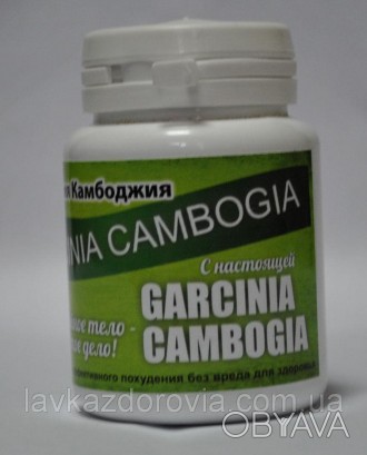 Garcinia Cambogia - Гарциния Камбоджийская Экстракт для быстрого похудения
Пробл. . фото 1