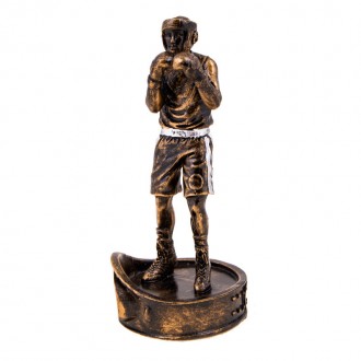 Наградная статуэтка
Вид спорта: бокс
Материал фигурки: металл с напылением под б. . фото 2
