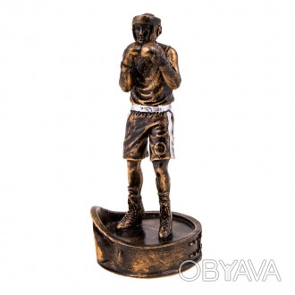 Наградная статуэтка
Вид спорта: бокс
Материал фигурки: металл с напылением под б. . фото 1