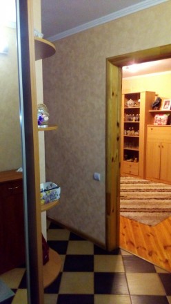 Срочно продается отличная однокомнатная квартира в с. Демидив, Вышгородского рай. . фото 8