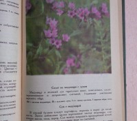 В книге освещаются вопросы использования целебных растений - дикорастущих и куль. . фото 6