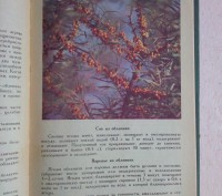 В книге освещаются вопросы использования целебных растений - дикорастущих и куль. . фото 7