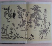 В книге освещаются вопросы использования целебных растений - дикорастущих и куль. . фото 3