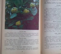 В книге освещаются вопросы использования целебных растений - дикорастущих и куль. . фото 4