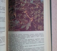 В книге освещаются вопросы использования целебных растений - дикорастущих и куль. . фото 8