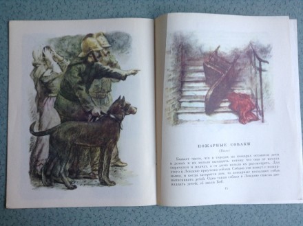 Книга для детей Л.Н.Толстой. Акула.
Москва, 1981 г.
Соответствует выставленным. . фото 9