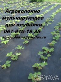 Агроволокно Агротекс черное мульчирующее 60 г/м2, от сорняков для сада, грядок, . . фото 4