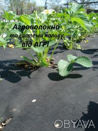 Агроволокно Агротекс черное мульчирующее 60 г/м2, от сорняков для сада, грядок, . . фото 7