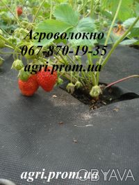 Агроволокно Агротекс черное мульчирующее 60 г/м2, от сорняков для сада, грядок, . . фото 2