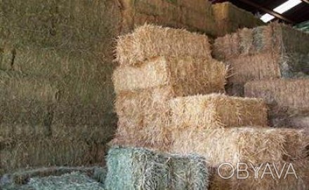 пшенична тюкована (вага 15-20кг. тюк). . фото 1