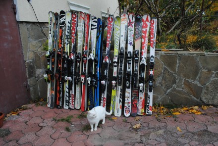Лыжи горные ,беговые ,сноуборды и ботинки .
Детально смотрите skiboss.jimdo.com. . фото 9