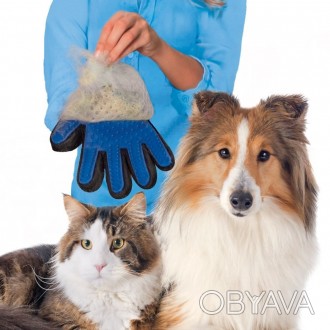 Перчатка для вычесывания шерсти домашних животных True Touch удобна в использова. . фото 1