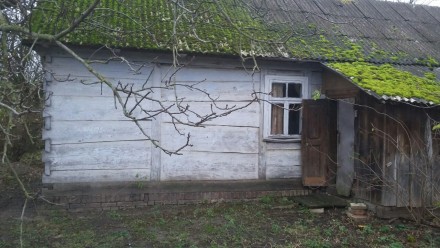 Продається дерев'яний будинок в с.Липляни (за Вишковом) разом із земельною ділян. . фото 4