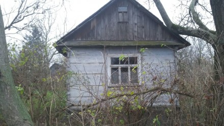 Продається дерев'яний будинок в с.Липляни (за Вишковом) разом із земельною ділян. . фото 3