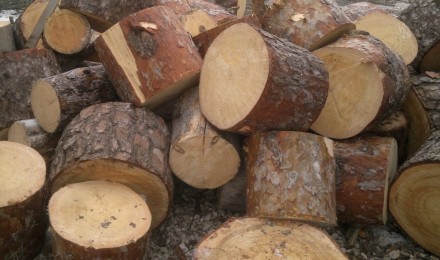 Продаются дрова в чурках и колотые!

Мягкие породы ( тополь, осина) - 600 руб/. . фото 4