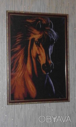 Картина "Кінь" вишита на тканині Аіда 14 кольорів . розмір 56-36см. . фото 1