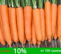 "ШАНТАНЕ" - самый востребованный сорт моркови ​среди большинства огородников (се. . фото 5