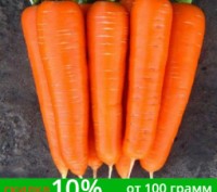 "ШАНТАНЕ" - самый востребованный сорт моркови ​среди большинства огородников (се. . фото 3