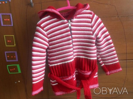 светер для дівчинки в доброму стані з капішоном на замочку ,довжина рукава від п. . фото 1