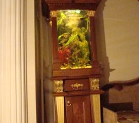 Продаємо акваріум на 80 літрів,з фільтром,та всім наповненням, разом з деревяною. . фото 2