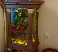 Продаємо акваріум на 80 літрів,з фільтром,та всім наповненням, разом з деревяною. . фото 4