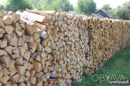 Продам дрова в Хмельницькій обл. Найдешевша ціна. . фото 1