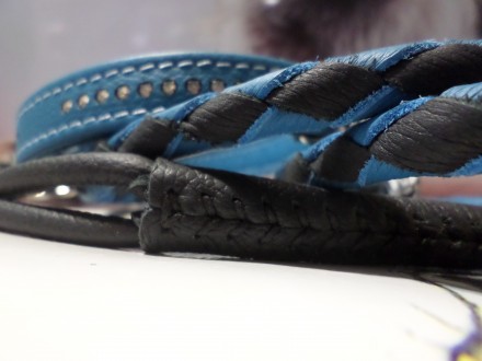 Нежно голубого цвета ошейник сшит из качественной кожи серии LUX. Она гидрофобна. . фото 4