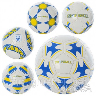 Мяч футбольный EV 3198 (30шт) размер 5, ПВХ 1,6мм, 2слоя, 32панели, 300-320г, 5в. . фото 1