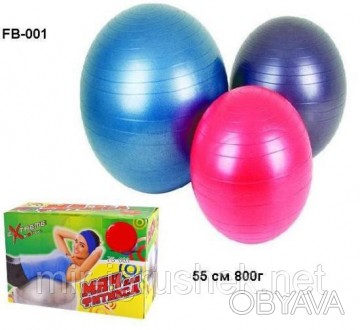 Мяч резин.для фитнеса FB-001 (25шт) 55 см 800г. . фото 1
