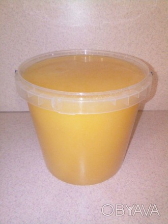 Продам натуральный разнотравный мёд со своей пасеки.

Цена - 120 грн./л (1,4 к. . фото 1