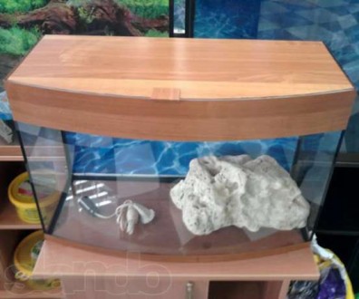 Добрый день. Наш магазин предоставляет аквариумы в комплекте с крышкой, подсветк. . фото 3