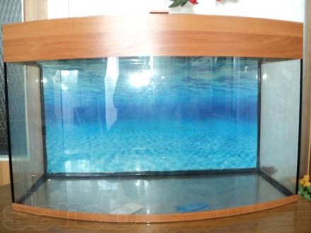 Добрый день. Наш магазин предоставляет аквариумы в комплекте с крышкой, подсветк. . фото 4