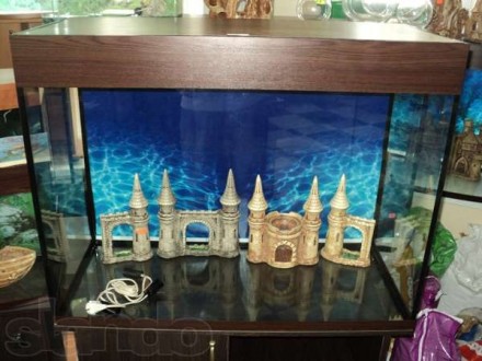 Добрый день. Наш магазин предоставляет аквариумы в комплекте с крышкой, подсветк. . фото 6