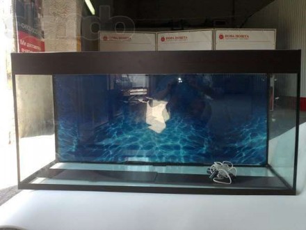 Добрый день. Наш магазин предоставляет аквариумы в комплекте с крышкой, подсветк. . фото 2