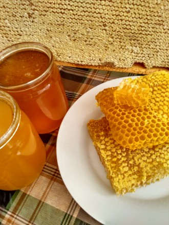 Мед натуральний, з власної пасіки Майський (Різнотрав’я). Ціна за 3 л.. . фото 3